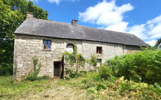 17th century house to renovate