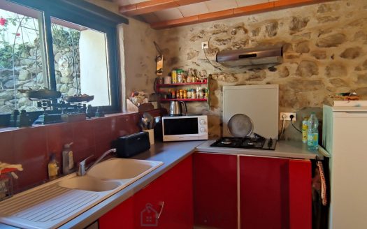 Character house 6 rooms with patio and stone built outbuilding