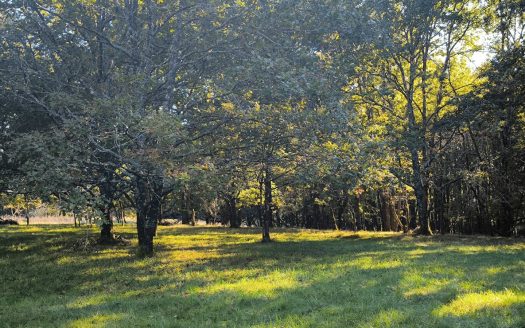 BERGERAC, MANSION ON 18 HECTARES