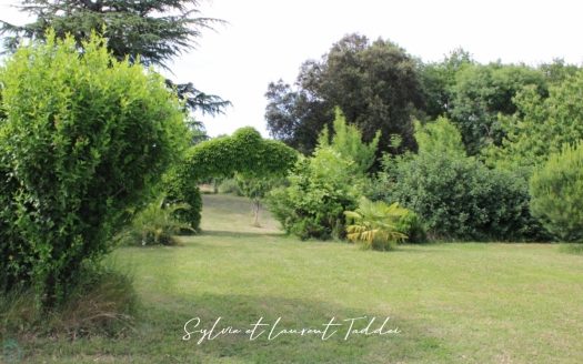 BEAUTIFUL CHARENTE LONGERE ON ONE STOREY, QUIET AND NOT OVERLOOKED