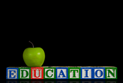 french school|French teaching system