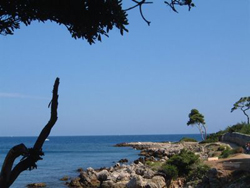better quality of life|British expats|South of France|South of France lifestyle|South of France property