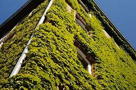 Green French porperty|Green roofing|green solutions|money savings