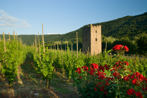 Bed and Breakfast|gite|Open a Gite|renting house