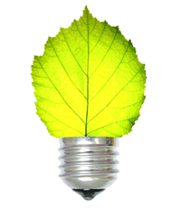 Green renovation France|Green renovations