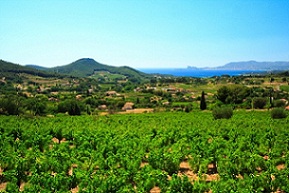 climate in the south of France|French Property|Prices of properties on French Riviera|Properties in Cote d'Azur