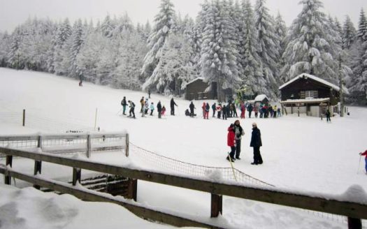 French ski resort|Ski resort is for sale in France