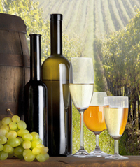 Burgundy wines|French wines|Property in Burgundy