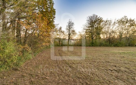 Land for Sale – 5500 sqm of Peace Near Nabirat – Just 10 Minutes from Gourdon