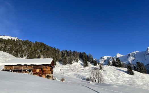 Unique. Chalet built in 1796