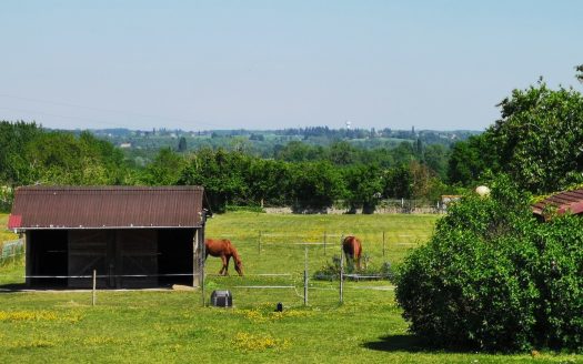 In a quiet location 10 minutes from Tours, 6 bedroom house, outbuildings, large plot of land
