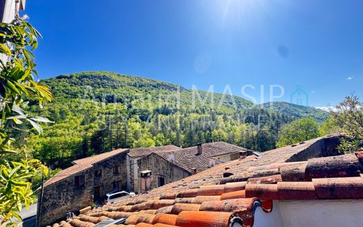 CHARMING, RENOVATED VILLAGE HOUSE 95M², ROOF TERRACE, VERDANT SETTING, SOUGHT-AFTER LOCATION