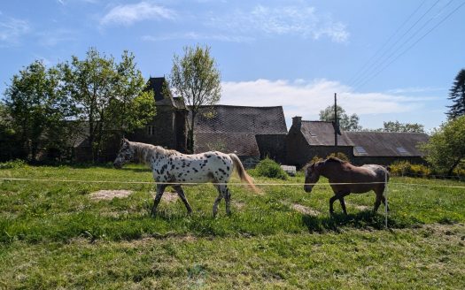 17 century farm and 4.5 hectares of grassland