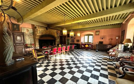 CHATEAU DU LAC, A JEWEL OF FRENCH HERITAGE, LISTED AS A LISTED MUSEUM