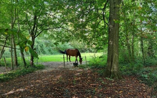 Here is a former hunting lodge located 20 minutes from Provins and Melun, 35 minutes from Fontainebleau, and 10 minutes from the A5 motorway entrance.