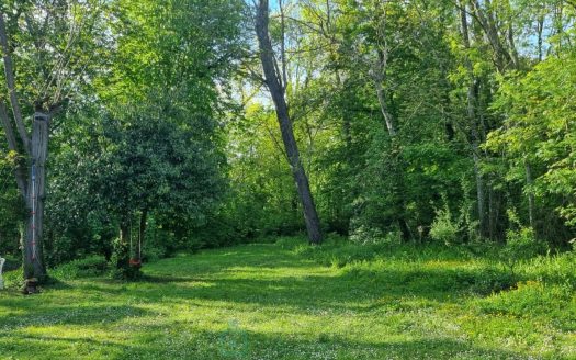 Here is a former hunting lodge located 20 minutes from Provins and Melun, 35 minutes from Fontainebleau, and 10 minutes from the A5 motorway entrance.