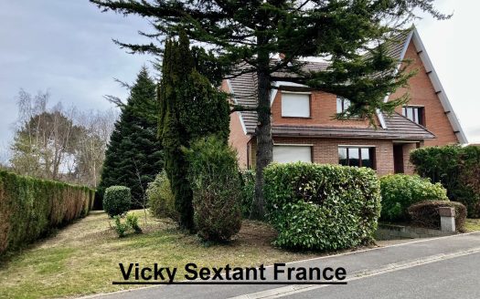 Maison d&apos;architecte avec sous sol complet