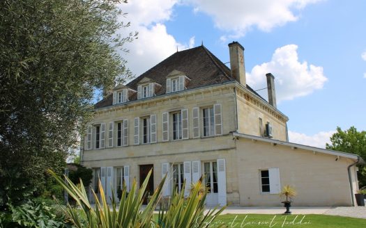 LARGE FAMILY MANSION HOUSE