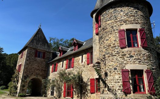 Beautifull Castle hidden in the countryside, 12 bedrooms plus 3 independent gites, Lake, Orchard on over 12 hectares land.