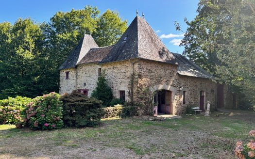 Beautifull Castle hidden in the countryside, 12 bedrooms plus 3 independent gites, Lake, Orchard on over 12 hectares land.