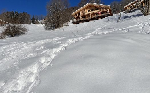 Exclusive land in a sunny area