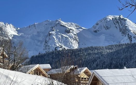 Exclusive land in a sunny area