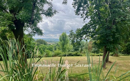 Close to Bergerac, 22 accres property, 18th century renovated stone-house, pool, numerous outbuildings, view