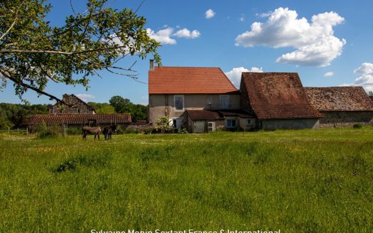 Renovated character house with outbuildings and large enclosed grounds