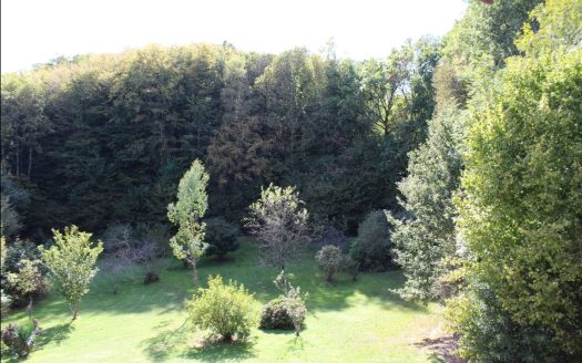 Independant large stone house in the countryside, with amazing views, garden and forest. 12,127 sqm