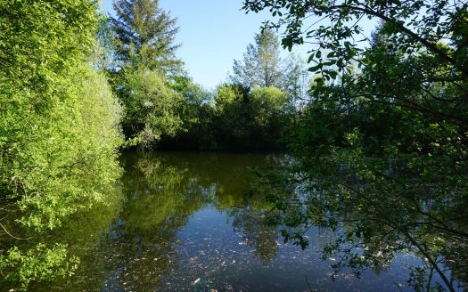 Magnificent 19th century estate nestled in the tranquility of nature and adorned with a pond.