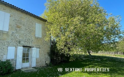 Entre-Deux-Mers, 30 minutes from Bordeaux, 1.2 hectare property, charming house with swimming pool and commanding view.