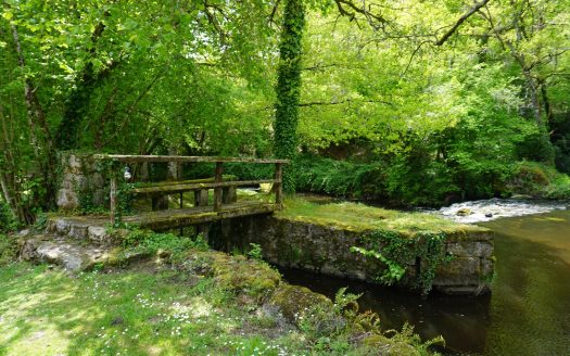 Historic jewel from the 18th century in the heart of the Perigord Vert natural park.