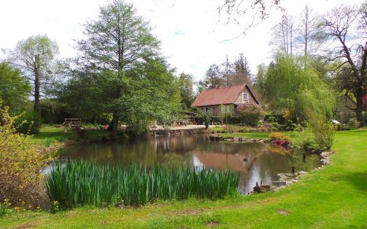 Charming stone house decorated with a pond and bordered by a river.