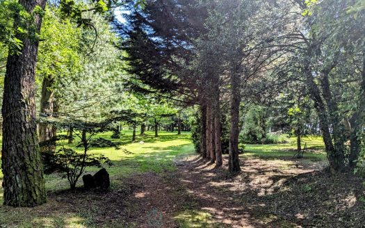 Stunning contemporary villa on over 2 hectares of wooded land – Camors (56), Brittany