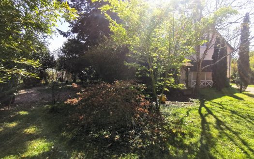 Property with 2 houses and outbuildings – Amboise town center