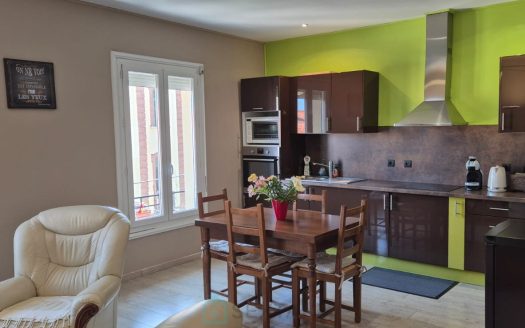 Very bright 2-bedroom apartment with garage – view of the Alberes
