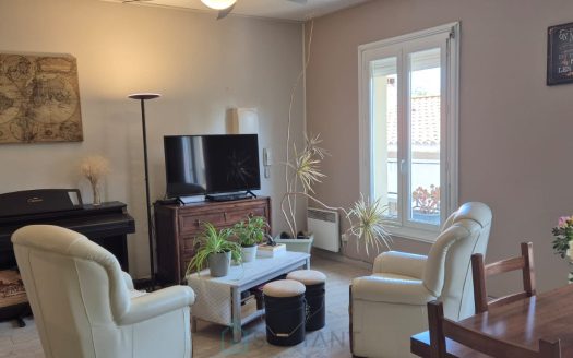 Very bright 2-bedroom apartment with garage – view of the Alberes