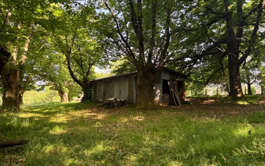 Lovely land to build a house 2355sqm