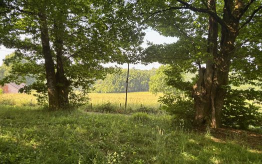 Lovely land to build a house 2355sqm