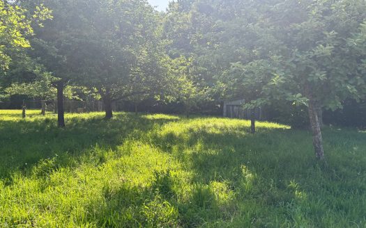 Lovely land to build a house 2355sqm
