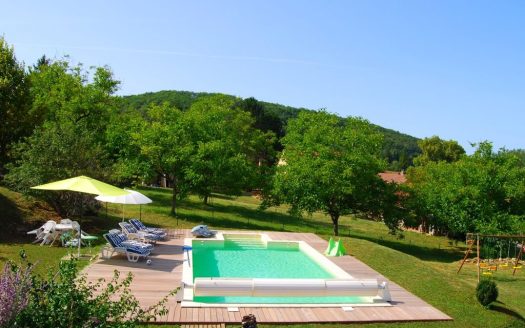 Completely renovated house with a swimming pool in the middle of nature in the quiet village of Condat-sur-Vézère.