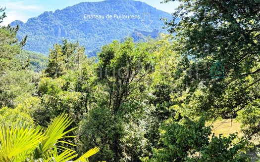 DELIGHTFUL CHALET 102M² IN LARGE, PRIVATE LEAFY PLOT, BALCONY, VIEW OF CATHAR CASTLE