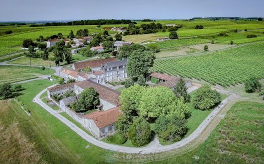 FORMER WINE PROPERTY IN GRANDE CHAMPAGNE ON OVER 3 HA
