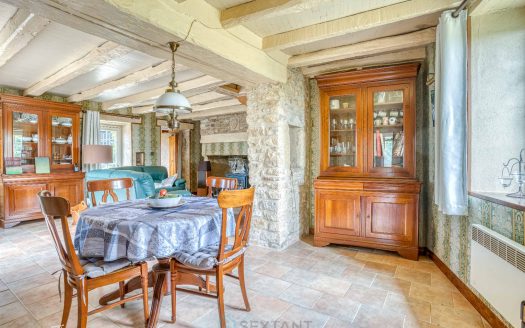 PERIGORD NOIR, AUTHENTIC VILLAGE HOUSE WITH GARDEN