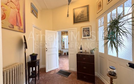 IMPOSING MAISON BOURGEOISE COMPRISING 3 APARTMENTS, FURTHER DEVELOPMENT POTENTIAL, QUILLAN CENTRE