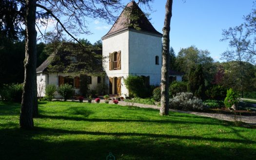 Magnificent architect-designed villa in the Perigord style, nestled in the heart of the peaceful nature of the charming historic and picturesque village of Bourdeilles.