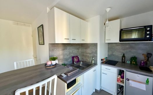 Renovated furnished studio with balcony – Ile Lacroix, Roue