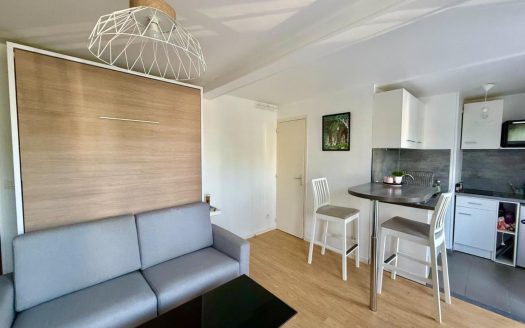 Renovated furnished studio with balcony – Ile Lacroix, Roue