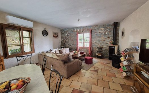 Beautiful old 19th century house, heated swimming pool, garages and outbuildings