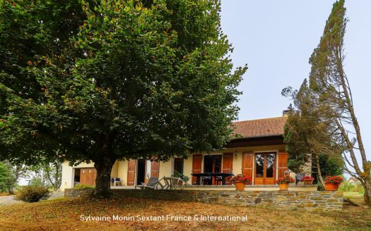Single-story house with quiet grounds